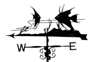 Angel Fish weathervane